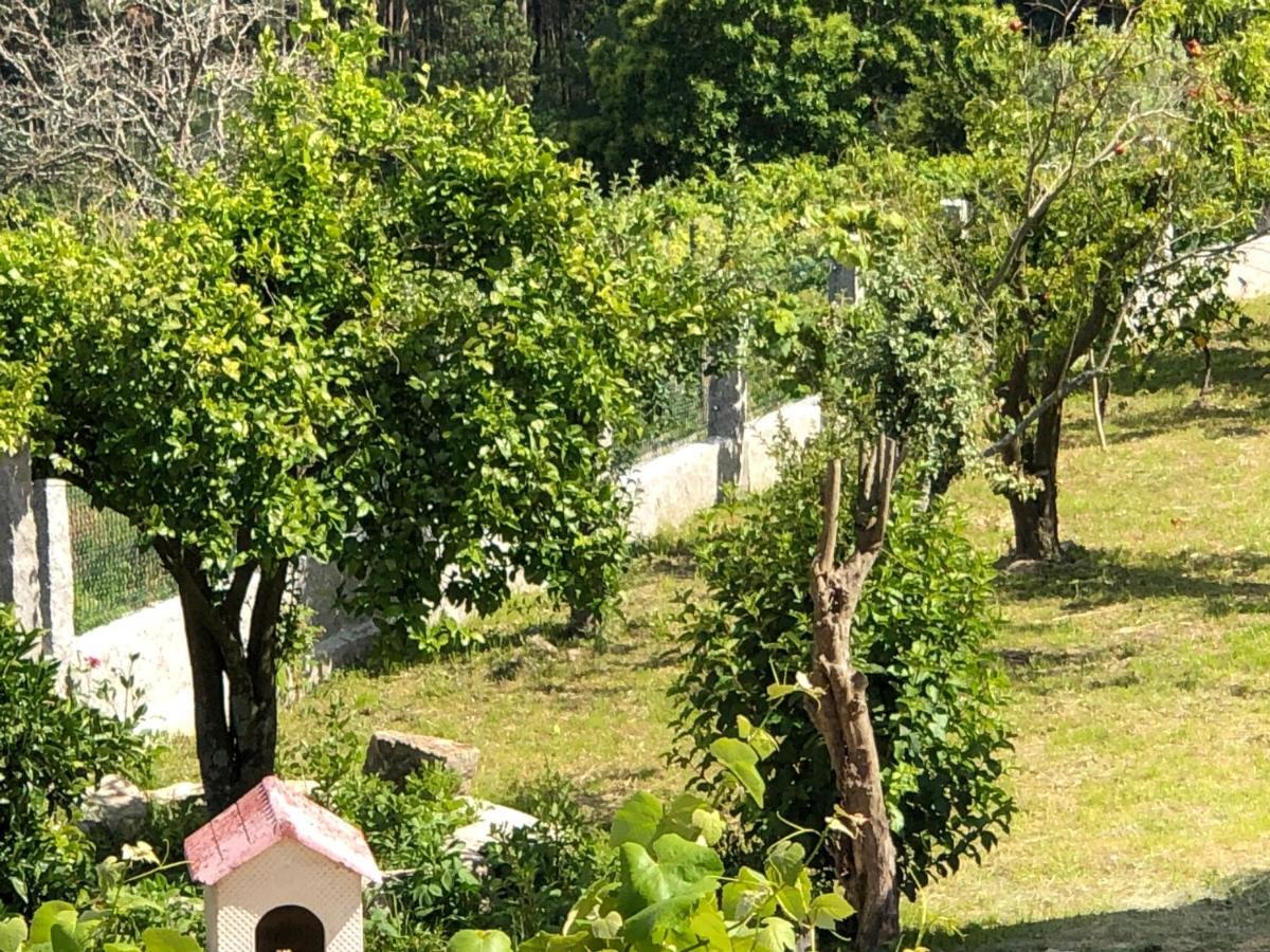 Casa Estrella Konuk evi Tebra Dış mekan fotoğraf