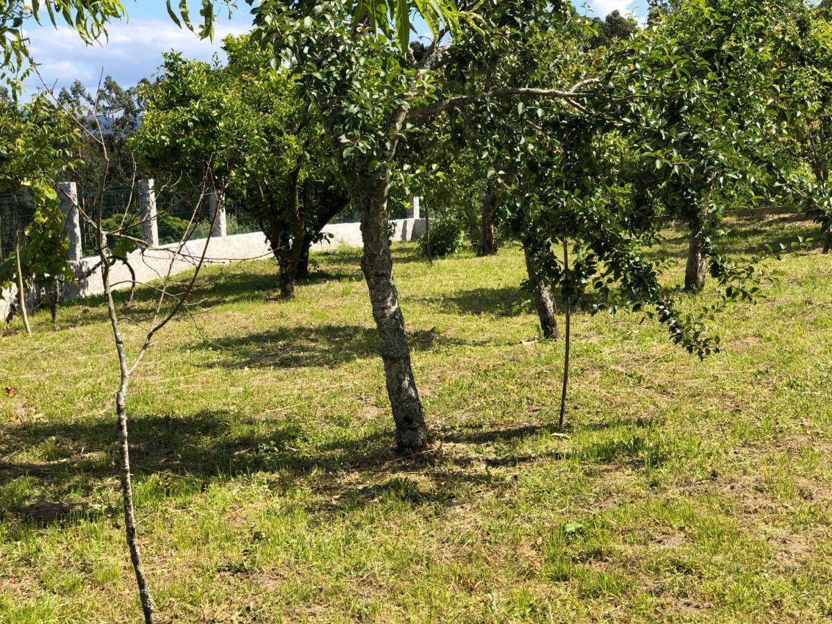 Casa Estrella Konuk evi Tebra Dış mekan fotoğraf